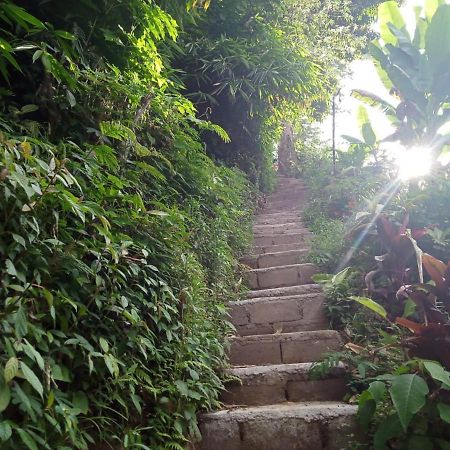 Jungleadventure Cabin Camping Bedugul  Ngoại thất bức ảnh