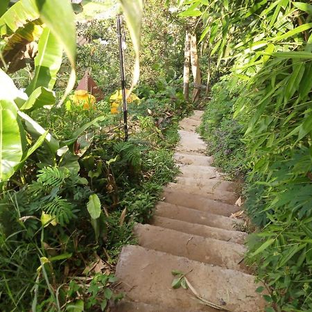 Jungleadventure Cabin Camping Bedugul  Ngoại thất bức ảnh