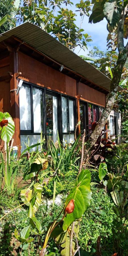 Jungleadventure Cabin Camping Bedugul  Ngoại thất bức ảnh