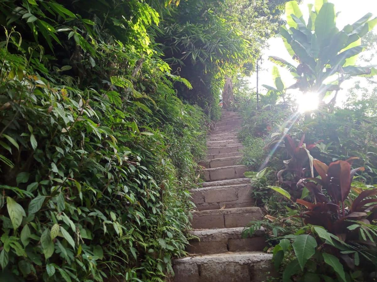 Jungleadventure Cabin Camping Bedugul  Ngoại thất bức ảnh