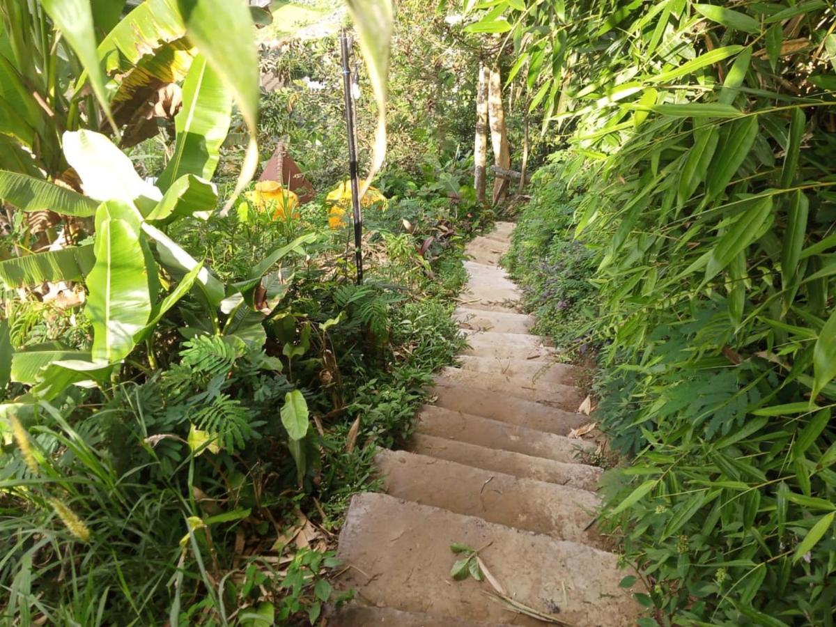 Jungleadventure Cabin Camping Bedugul  Ngoại thất bức ảnh